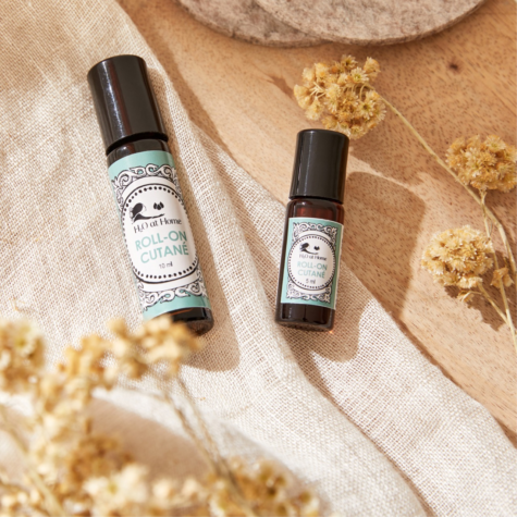 Comment lutter efficacement contre les moustiques ?