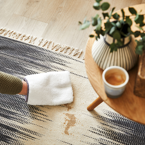 Comment prendre soin de son animal tout en gardant sa maison propre ?